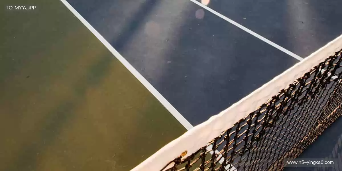 💻实时互动,与千万球迷共燃热血!💬